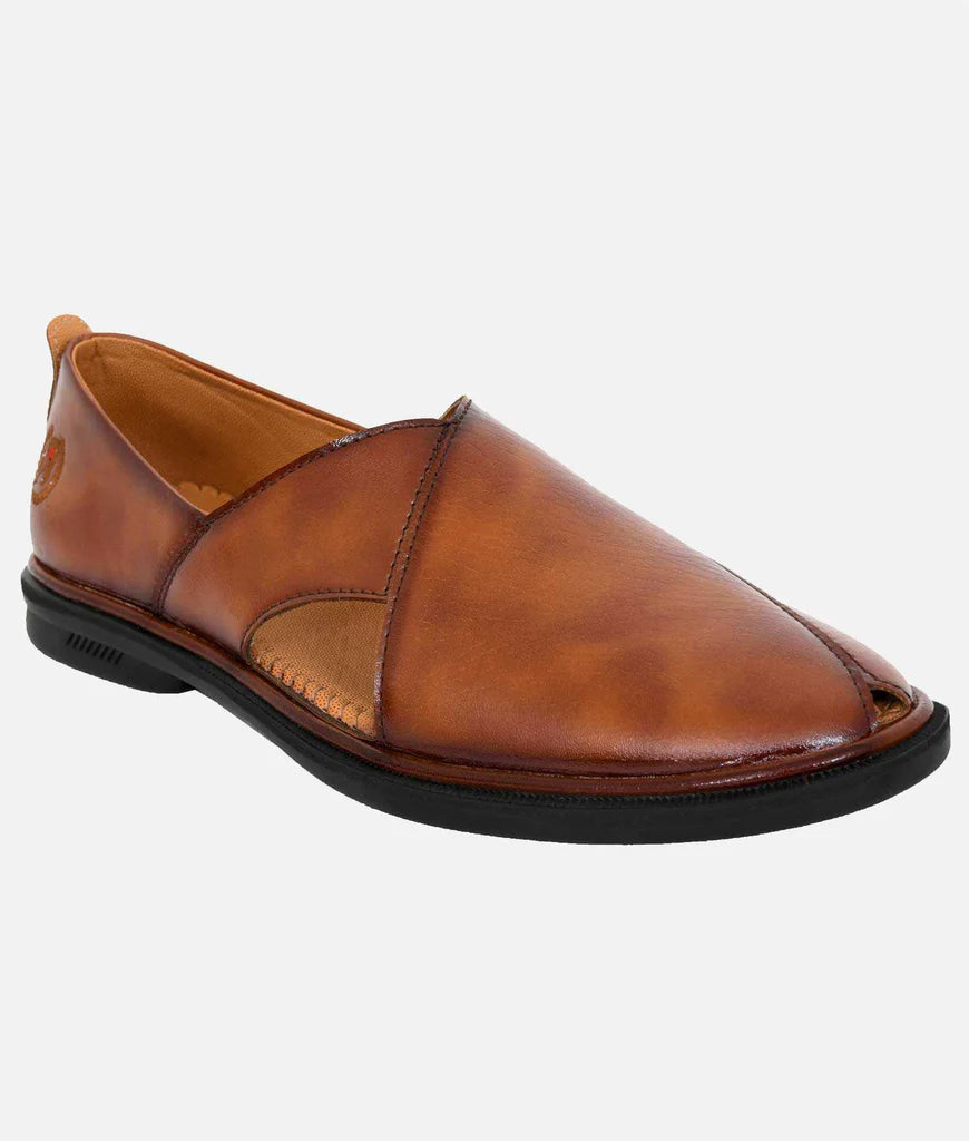 Mojari Peshawari Suede Style